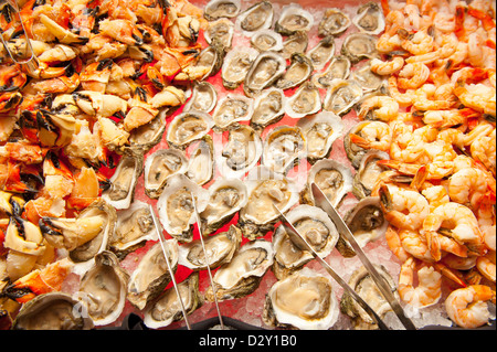 Oysters, shrimp and crab claws Stock Photo