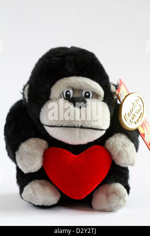 Chimp holding red heart soft cuddly toy isolated on white background - ideal present gift for Valentine day Stock Photo