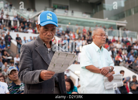 Sha Tin horse racecourse in Hong Kong, China Stock Photo