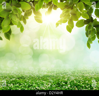 green park blur bokeh background Stock Photo - Alamy