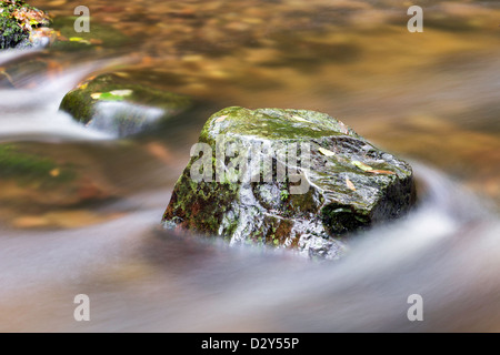 Lichen Covered rock with fresh clear water rushing by. Stock Photo
