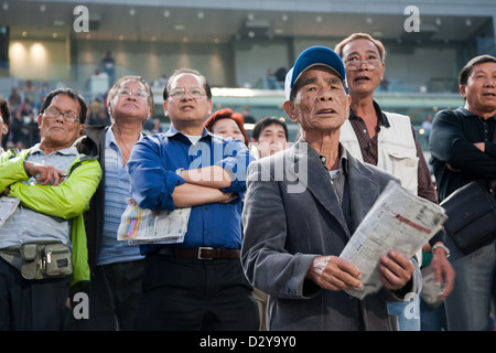 Sha Tin horse racecourse in Hong Kong, China Stock Photo