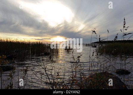 Sunset on the lake in summer Stock Photo