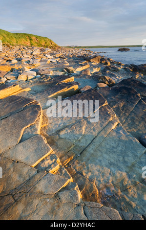 The coastline of the island of Shapinsay at sunset, Orkney Islands ...