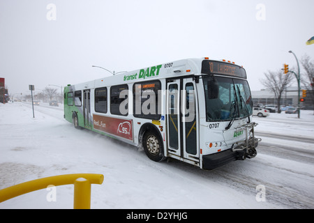 Saskatoon transit dart express bus travelling along 8th street in the snow Saskatchewan Canada Stock Photo