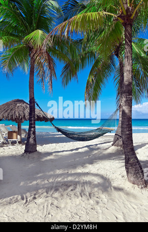 A hammock between two palm trees beside the ocean on a tropical resort. Stock Photo