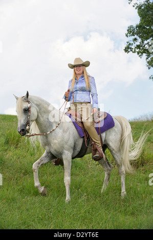 Woman horseback riding on beautiful white horse outdoors in nature and sunshine, a cowgirl in American western style clothing. Stock Photo