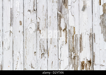 Old white weathered wooden background no. 6 Stock Photo