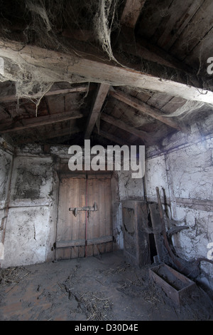 Gutersloh, Germany, dusty attic Stock Photo