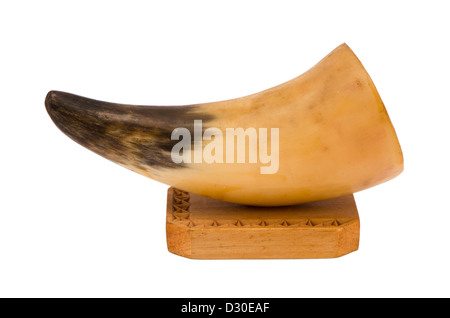 predator animal fang tusk elephant ivory on wooden board decoration isolated on white background Stock Photo