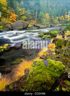 Fall colors along North Fork Umpqua River. Oregon. Stock Photo