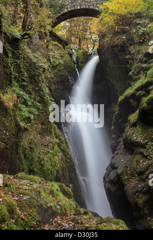 Aira Force waterfall near Ullswater in the Lake District National Park Stock Photo