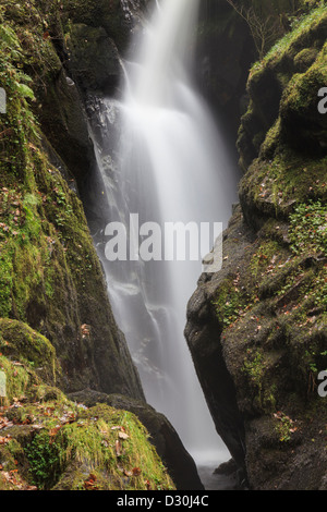 Aira Force waterfall near Ullswater in the Lake District National Park Stock Photo