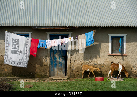 rural house on the outskirts of Kisumu, Kenya Stock Photo