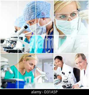 A team of young women medical research scientists in a science laboratory, with microscopes and test tubes wearing scrubs Stock Photo