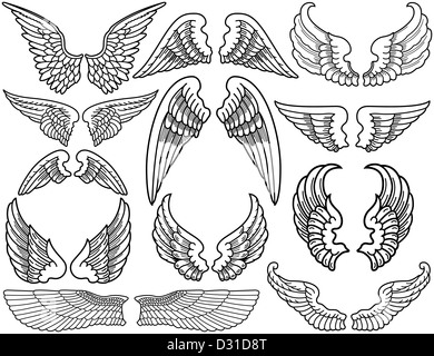 Twelve Sets of Black and White Angel Wings Stock Photo