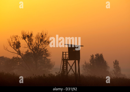 Silhouetted trees and raised stand for hunting roe deer in morning mist at sunrise in field Stock Photo