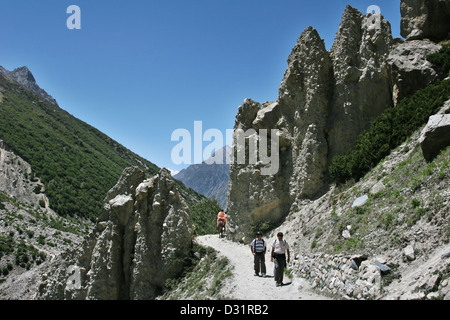 The trail along the upper Bhagirathi Valley near Bhojbasa. Stock Photo