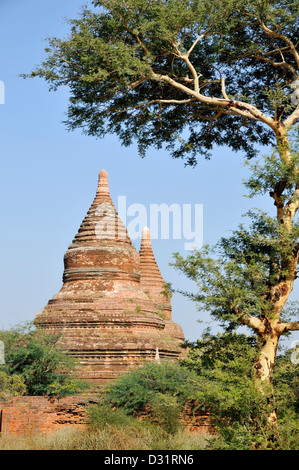 Pagodas, Historical Site of Bagan, Burma, Myanmar Stock Photo