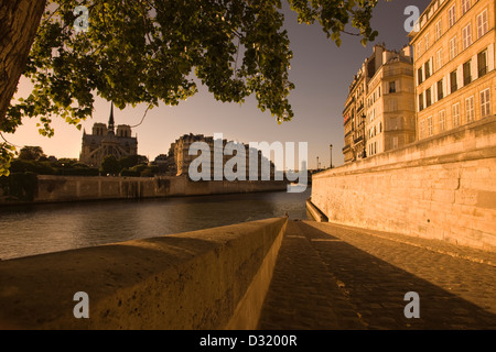 2009 HISTORICAL NOTRE DAME CATHEDRAL ILE DE CITE FROM QUAI D'ORLEANS RIVER SEINE ILE SAINT LOUISE PARIS FRANCE Stock Photo