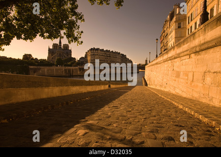 2009 HISTORICAL NOTRE DAME CATHEDRAL ILE DE CITE FROM QUAI DÕORLEANS RIVER SEINE ILE SAINT LOUISE PARIS FRANCE Stock Photo