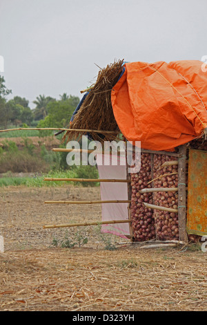 Traditional storage for onions in villages Stock Photo