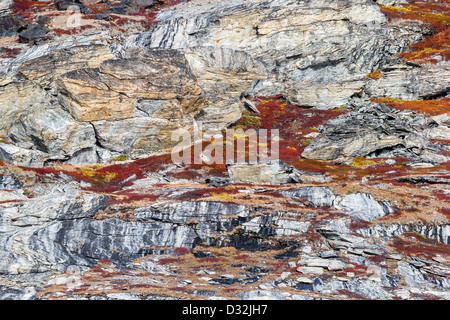 Detailed patterns in granite rock, mountains, Scoresbysund, Greenland Stock Photo