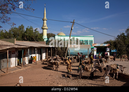 Livestock Market, Jugol (Old Town) Harar, Ethiopia Stock Photo