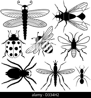 Eight Insect Silhouettes Stock Photo