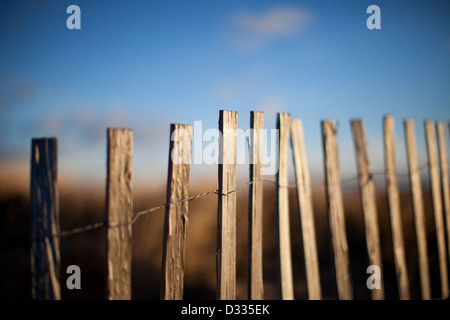 field of snow. Close up Stock Photo - Alamy