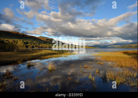 Evening light on a calm lake with rushes and distant hills at Loch Tay, Perthshire, Scotand Stock Photo