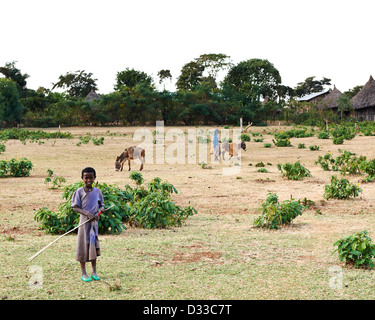 A village child and his mother tend their cattle and crops Stock Photo