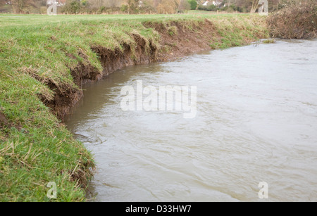 High water level and velocity undercutting river banks on the River Deben, Ufford, Suffolk, England Stock Photo