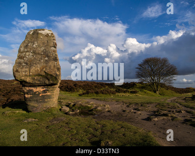 Cork stone  on Stanton Moor in the Derbyshire Peak District dating back to the Bronze age Stock Photo