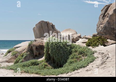 Rocky outcrop at Playa Blanca Parque Nacional Pan de Azucar Atacama Pacific coast Chile South America Stock Photo