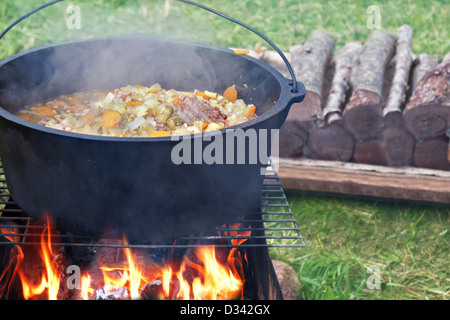 https://l450v.alamy.com/450v/d342gx/kettle-with-food-on-campfire-firewood-in-background-d342gx.jpg