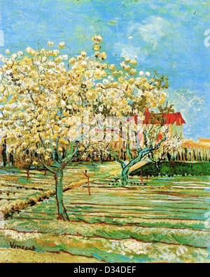 Vincent van Gogh: Orchard in Blossom. 1888. Oil on canvas. Private Collection. Post-Impressionism. Stock Photo