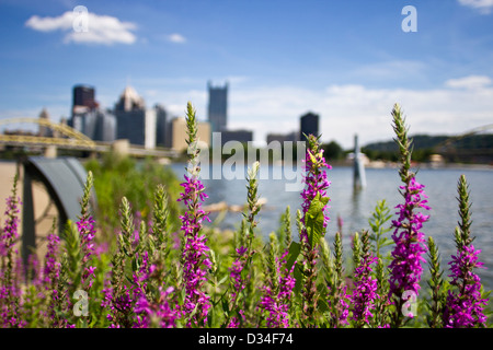 Pittsburgh in blur Stock Photo
