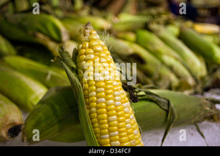 Fresh corn on the cob Stock Photo