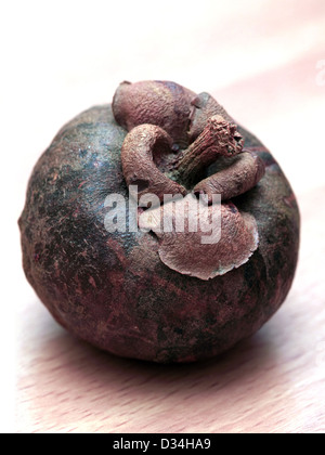 Close-up of exotic Mangosteen fruit Stock Photo