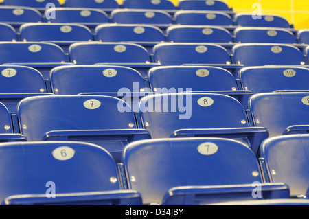 rows of blue chairs at sporst stadium Stock Photo