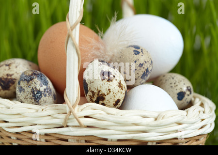 Easter eggs in a basket Stock Photo