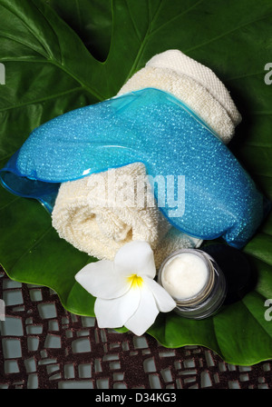 https://l450v.alamy.com/450v/d34kg3/spa-experience-with-eye-mask-and-eye-cream-in-natural-setting-d34kg3.jpg