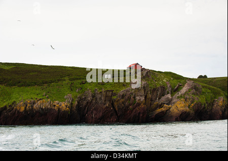 Skokholm Island, South Pembrokeshire, Wales, United Kingdom Stock Photo