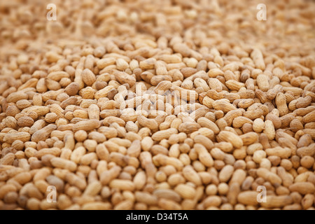 Peanuts in shells. Earthnut - traditional delicacy in Asian countries Stock Photo