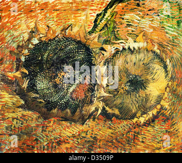 Vincent van Gogh, Still Life with Two Sunflowers. 1887. Post-Impressionism. Oil on canvas. Kunstmuseum Bern, Switzerland. Stock Photo