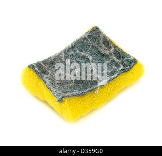 Yellow Sponge Isolated On The White Background With Clipping Path Stock  Photo - Download Image Now - iStock