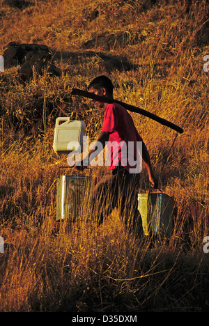 Man Carrying water on his shoulder, Maharashtra, India Stock Photo