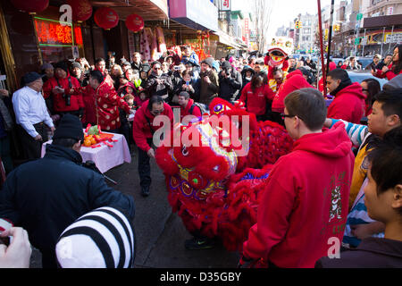 New York City, US, 10 February 2013. The Lucky King Bakery on Grand Street has fruit and vegetable offerings on the table for the lion. The lion is believed to bring good luck to the business in the coming year. Stock Photo