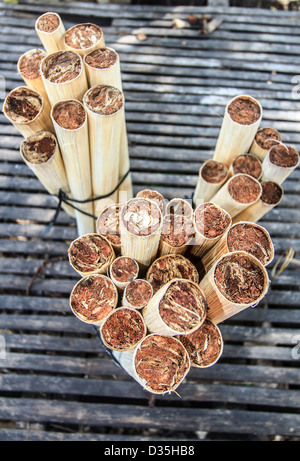 Sweet, sticky rice is combined with red beans and sealed in bamboo tubes that are topped with coconut husks in Cambodia Stock Photo